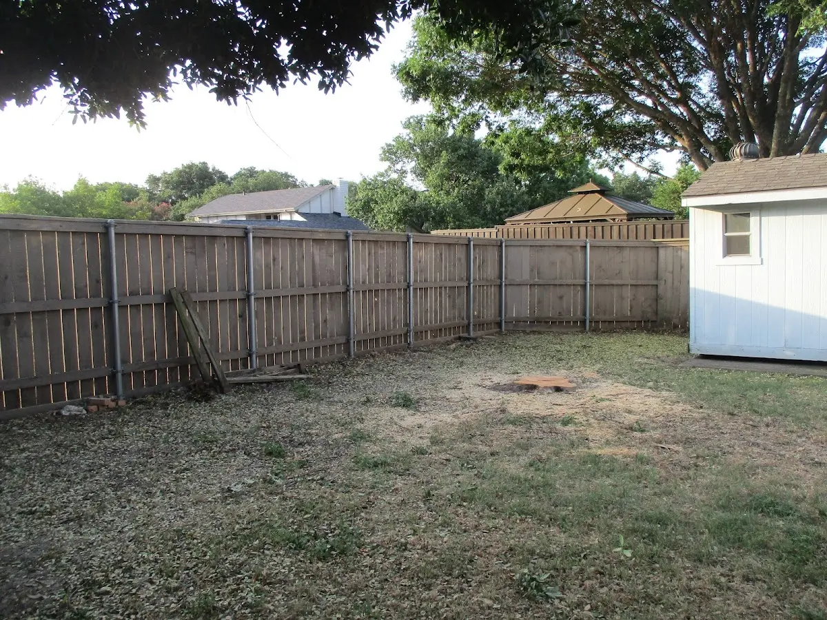 Cleared yard after professional tree removal in Geneva