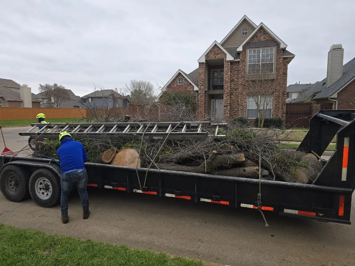 Expert Tree Fertilization with proper safety equipment in Geneva